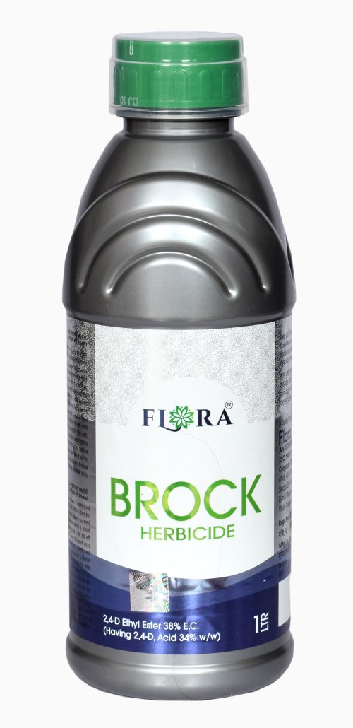BROCK