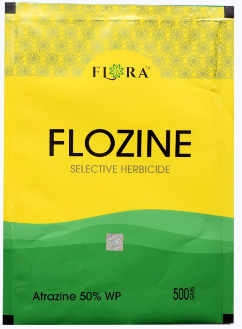 FLOZINE