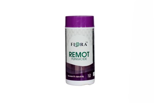 REMOTE